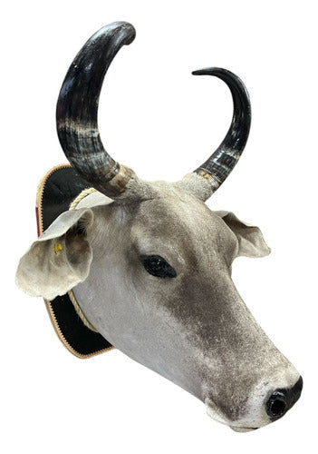 Decoração Country De Parede Cabeça De Boi Nelore Empalhada
