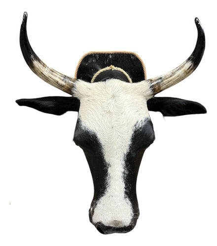 Decoração De Parede Cabeça De Boi Nelore Country Empalhada